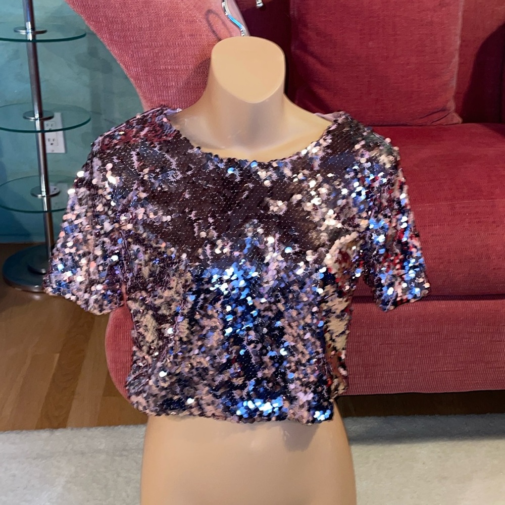 NWT Forever 21 Pink Sequin Short Sleeve Crop Top